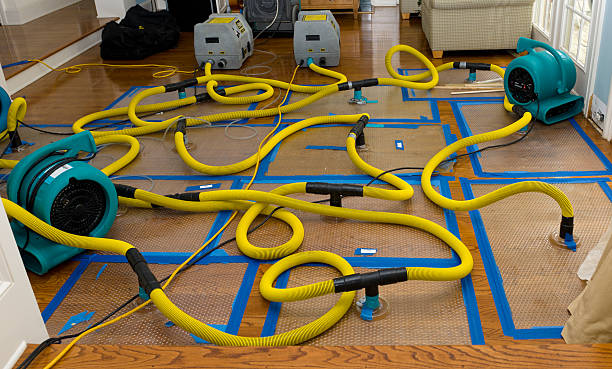 Professional Flood Damage Restoration technician working in Colfax, WI